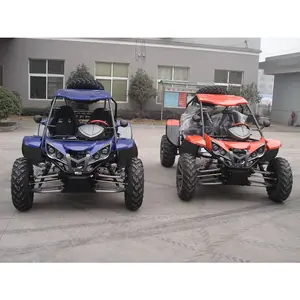 Renli EEC4-Buggy para adulto con dos asientos, Go Karts Dune, 4x4, calle Legal, CC