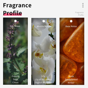 Parfum Original VILILY 40ml Haute Qualité pour Femme – Miniatures Florales de Voyage en Gros - Product Image 4