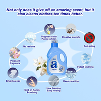 Détergent à lessive liquide naturel personnalisé OEM/ODM, doux pour tous types de tissus, emballage de bouteille personnalisé, fourniture de marque privée