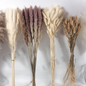 H070 — fabrication professionnelle chinoise décoration de mariage, graines séchées, fleurs séchées, queues de lapin, pampa - Product Image 1