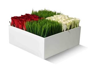 Sedia Panchina Fioriera <span class=keywords><strong>in</strong></span> Fibra di Vetro per Esterni, Design Speciale per Centri Commerciali, Arredo Creativo per il Tempo Libero - Product Image 4