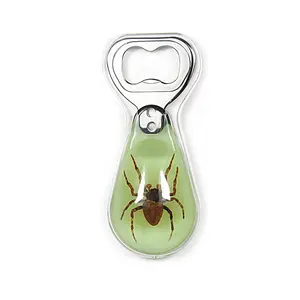 Gerçek böcekler şişe açacağı aydınlık manyetik alaşım metal akrilik epoksi reçine kristal çin komik benzersiz özelleştirilmiş hediyelik eşya