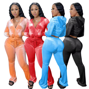 Completo Due Pezzi da Donna in Velluto con Crop Top a Maniche Lunghe e Scollo Profondo e Pantaloni a Zampa con Tasche in Stile Casual - Product Image 1