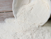 Éther de cellulose de méthylhydroxypropyl HPMC Poudre HPMC Sac de 25 kg Fournisseur d'usine Pureté de 99,9%