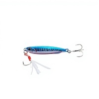 Leurre de jigging avec poids en plomb pour eau douce et eau salée, pour bar rayé, bar noir et poisson mandarin, avec appât.