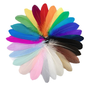 Plumas de Ganso Naturales Blancas de 4-6 Pulgadas al por Mayor para Manualidades, Regalos, Paquetes, Sombreros, Accesorios para el Cabello, Carnaval - Product Image 1