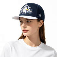 Outdoor Adventure marineblauwe snapback pet met 3D geborduurde adelaar berg grafische witte platte klep pet voor wandelen en kamperen