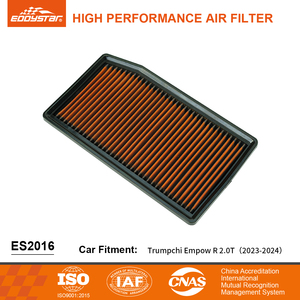 EDDYSTAR Filter Udara Kabin Otomotif Panel Berkinerja Tinggi yang Dapat Dicuci untuk GAC EMPOW R ES2016 - Product Image 1