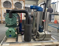 Máquina de Hielo en Escamas de Agua de Mar Haiyue 2T, Aprobada por CE e ISO, Fabricada con SUS316