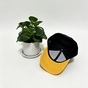 High Quality <b>Vintage</b> 6 Panel Twill Sporty Street Style Cotton Two Tones Baseball <b>Caps</b> with Custom Flat Embroidery Logo - Product Image 4