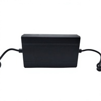Chargeur haute puissance 600W 58,8V 10A pour batteries 452V