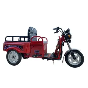 Tricycle électrique à 3 roues, petit format, bon marché, chine