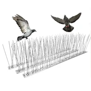 20 pointes en acier inoxydable de 33 cm pour lutter contre les chats et les oiseaux avec base en plastique Jardin et maison avant-toit Pigeon Anti Birds defence