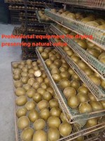 ZZH Usine Vente en Gros Personnalisé Haute Valeur Nutritive Siraitia Grosvenorii Fruit De Moine Chinois