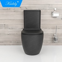 Juego de Inodoro de Dos Piezas con Descarga Doble, Moderno, Alargado, con Sifón en Forma de S y P, de Cerámica Negra Mate, para Baño