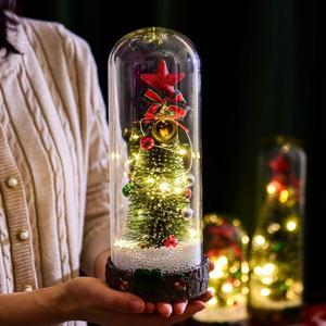 Ornement de Noël en verre avec lumières LED pour la décoration des fêtes - Product Image 4