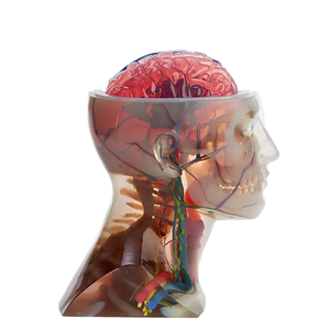 Prototipos profesionales médicos a todo color personalizados <span class=keywords><strong>para</strong></span> prototipos de servicio de impresión 3D - Product Image 1