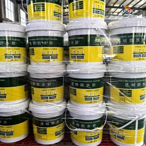 Rivestimento impermeabile trasparente per tegole tetto cemento impermeabilizzazione invisibile - Product Image 5