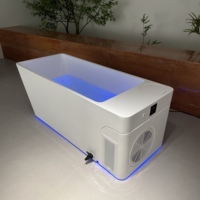 Baignoire en acrylique Gurgle tout-en-un pour bain froid avec refroidisseur et filtre