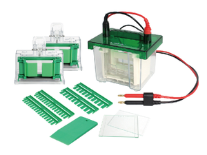 حوض كهروهيماتيكي عمودي صغير من لانجيكي طراز L-VEC-2 مع وظيفة مؤقت - Product Image 4