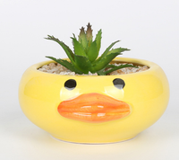 Vente en gros de pots de fleurs d'animaux succulents de dessin animé en porcelaine émaillée pour la décoration de la maison et du jardin