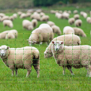 Malla eléctrica <span class=keywords><strong>para</strong></span> cercas <span class=keywords><strong>de</strong></span> cabras, malla <span class=keywords><strong>para</strong></span> gallinas, red <span class=keywords><strong>de</strong></span> protección <span class=keywords><strong>para</strong></span> praderas, malla <span class=keywords><strong>de</strong></span> alambre económica <span class=keywords><strong>para</strong></span> cercas <span class=keywords><strong>de</strong></span> ganado, <span class=keywords><strong>para</strong></span> ganado, Anping con poste en T - Product Image 1