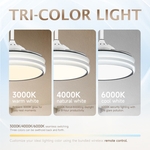 Chất lượng cao trong nhà chiếu sáng nhà 4 Blade 42 inch điều khiển từ xa đèn Chùm sạc LED quạt trần ánh sáng cho phòng khách - Product Image 2