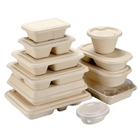 Boîtes à emporter biodégradables et compostables en bagasse de canne à sucre pour restaurant et pique-nique