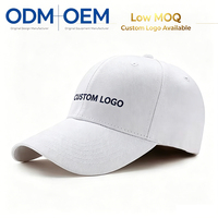 Casquettes de baseball en coton personnalisables de haute qualité, imperméables, avec logo brodé, pour le sport et l'extérieur, vente en gros