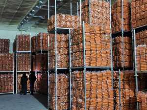 Cenouras Orgânicas Frescas para Uso Alimentar Preço Competitivo por Atacado - Product Image 6