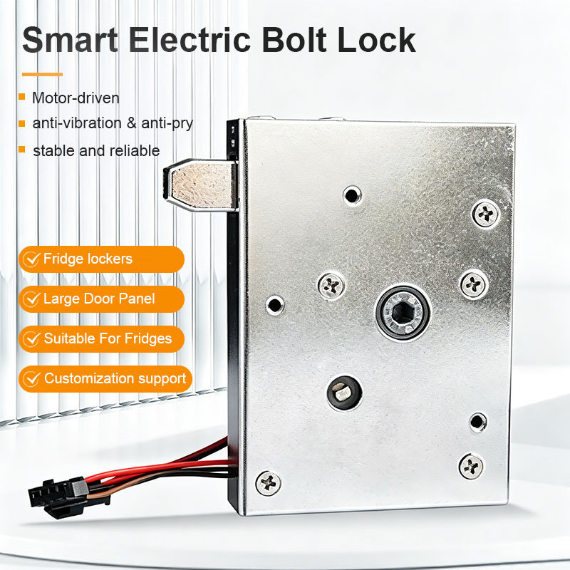 Electric Lock- Heavy Duty High Load with Remote Monitoring, Gear Motor Driven for Cabinet Door · image 5