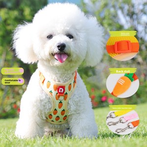 Venta al por mayor <span class=keywords><strong>de</strong></span> poliéster a la moda para mascotas, conjunto <span class=keywords><strong>de</strong></span> equipo para caminar, malla transpirable, Estilo Chaleco, arnés para perros, correa para perros pequeños <span class=keywords><strong>Bichon</strong></span> acolchada - Product Image 2