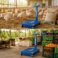 Báscula Electrónica Plegable Portátil de 120 kg a 300 kg con Pantalla LCD, Más Especificaciones Personalizables