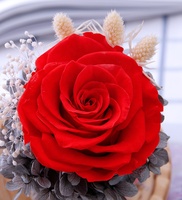 Rose en verre Happy Valentine, cadeau éternel en tube, pour la remise des diplômes, la fête des pères, Pâques, Halloween, écologique, fait main, résistant aux UV, LED