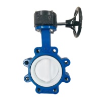 Válvula de Mariposa Económica de Acero Inoxidable Tipo Lug PN10/PN16 Estándar ANSE DIN BS DN100 DN150 con Sello de Goma/PTFE para Tratamiento de Agua