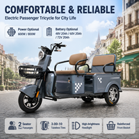 Tricycle électrique d'usine pour personnes âgées avec moteur 800W Batteries 48V Véhicule électrique à 3 roues pour une utilisati