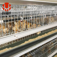 Cage d'élevage de type H de haute qualité, galvanisée à chaud, système entièrement automatique pour élevages avicoles de grande envergure