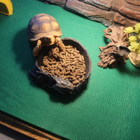 Tapis de Terrarium vert en Polyester, nouveau Design, personnalisable