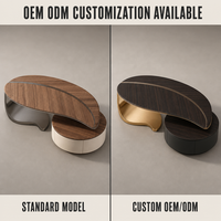 Nouvelle Table Basse Design Moderne 2025 Style Feuille en Bois et Acier avec Rangement pour Salon, Hôtel et Villa