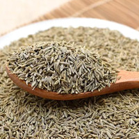 Graines de cumin séchées en vrac biologiques, épices à une seule herbe, prix de gros pour les fournisseurs chinois, graines de cumin noir