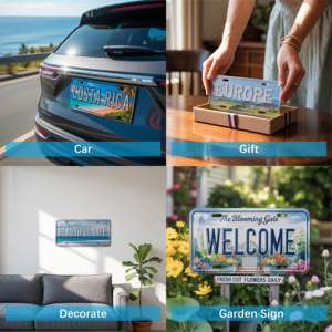 Placa decorativa de coche especial de licencia de número personalizada de alta calidad con 25 años de experiencia y certificado ISO - Product Image 6