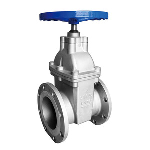 Guangdong Magnesium Special Stainless Steel Gate Valve DN100 PN16 For Water Pumps Fire Fighting Chemical Industry - Product Image 4