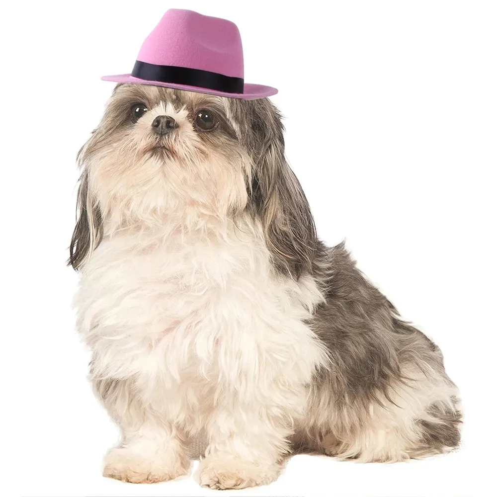 Pet Dog cappello da Cowboy copricapo gatto divertente copricapo Costume Performance puntelli per foto accessori Cosplay
