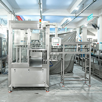Ligne de remplissage automatique de bouteilles d'eau pure minérale pour animaux de compagnie, machine de remplissage d'eau potable, machine d'emballage de sachets d'eau