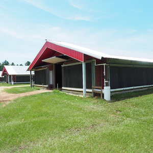 Moderna Struttura Prefabbricata in Acciaio Ecologica per Allevamento di Polli Edificio Sostenibile in Struttura d'Acciaio per Fattorie - Product Image 2