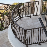 Fabricant de balustrades au design classique, en fer forgé cintrée, populaire pour les hôtels et les villas, résistante à la corrosion