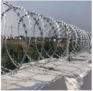 <span class=keywords><strong>Alambre</strong></span> de púas de <span class=keywords><strong>concertina</strong></span> de acero inoxidable galvanizado con revestimiento de PVC Bto-22 Cbt-60 Cbt-65 - Product Image 2