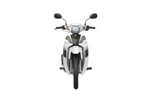 Moto de banlieue 110cc Sirius en gros avec roue à rayons, frein à disque, moteur 4 temps à essence - Product Image 2