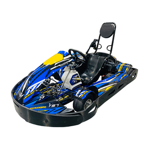 <span class=keywords><strong>Kart</strong></span> à pédales à essence pour adultes de haute qualité et à <span class=keywords><strong>prix</strong></span> avantageux, modèle Go TS7 avec moteur GX200CC - Product Image 1