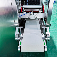Machine de remplissage et d'emballage entièrement automatique haute vitesse et haute qualité pour liquides et poudres, destinée à la production de dosettes alimentaires, de détergents et de lessives